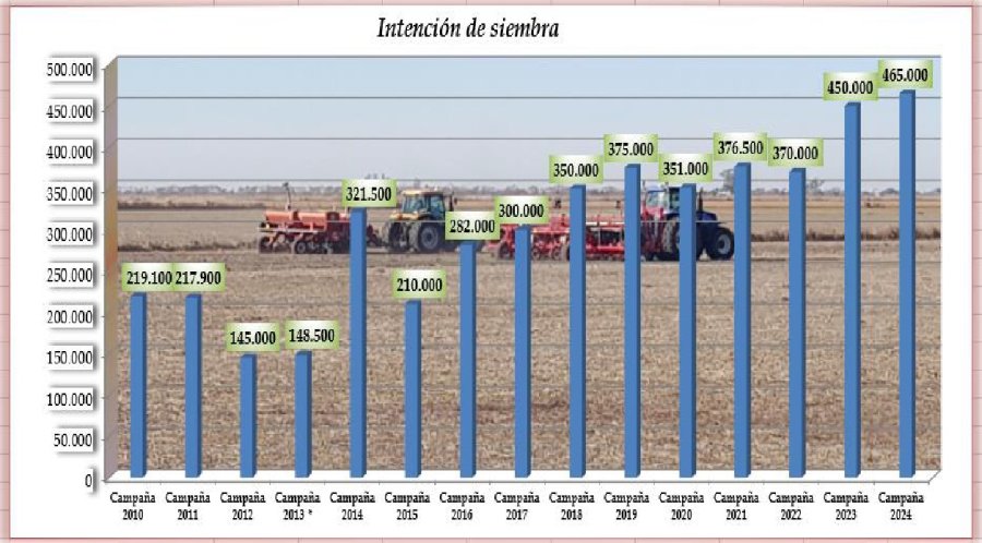 TRIGO. Una de las campa&ntilde;as m&aacute;s voluminosas de los &uacute;ltimos a&ntilde;os en la regi&oacute;n centro norte provincial.
