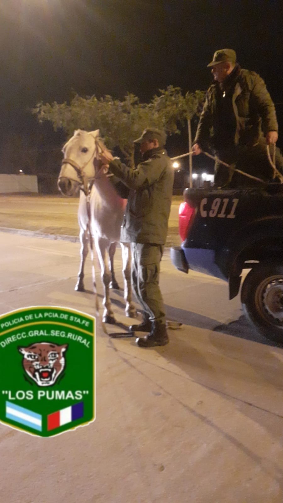 La Polic&iacute;a de Seguridad Rural "Los Pumas" trasladaron a los caballos secuestrados fuera de la planta urbana.