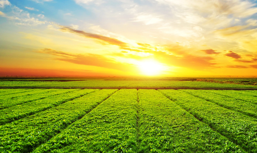 &iquest;SE VIENE? Todos los modelos agroclim&aacute;ticos coinciden en algo: La Ni&ntilde;a dir&aacute; "presente" en la campa&ntilde;a