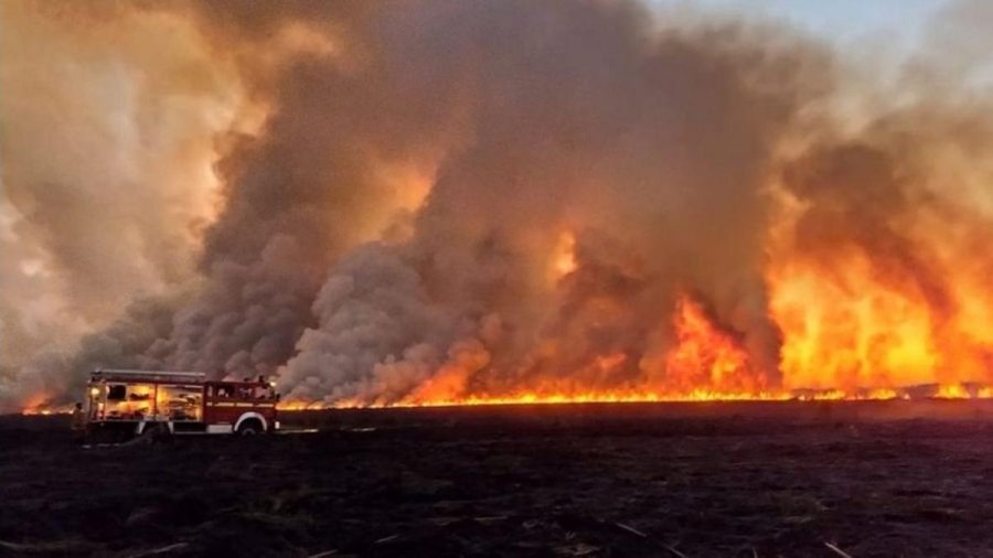 INCENDIOS. La Ley hab&iacute;a sido impuesta por M&aacute;ximo Kirchner pero no tuvo resultados