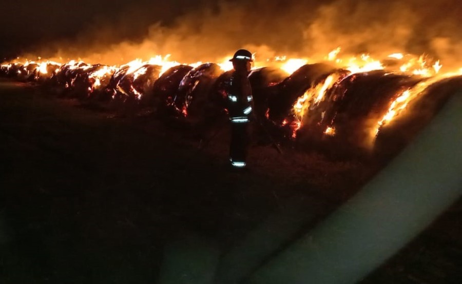 Bomberos Zapadores y Voluntarios lucharon contra las llamas en el l&iacute;mite rural con barrio San Jos&eacute;.