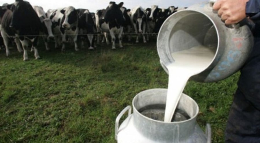 BICE ha otorgado el primer cr&eacute;dito medido en litros de leche a un tambo de C&oacute;rdoba.