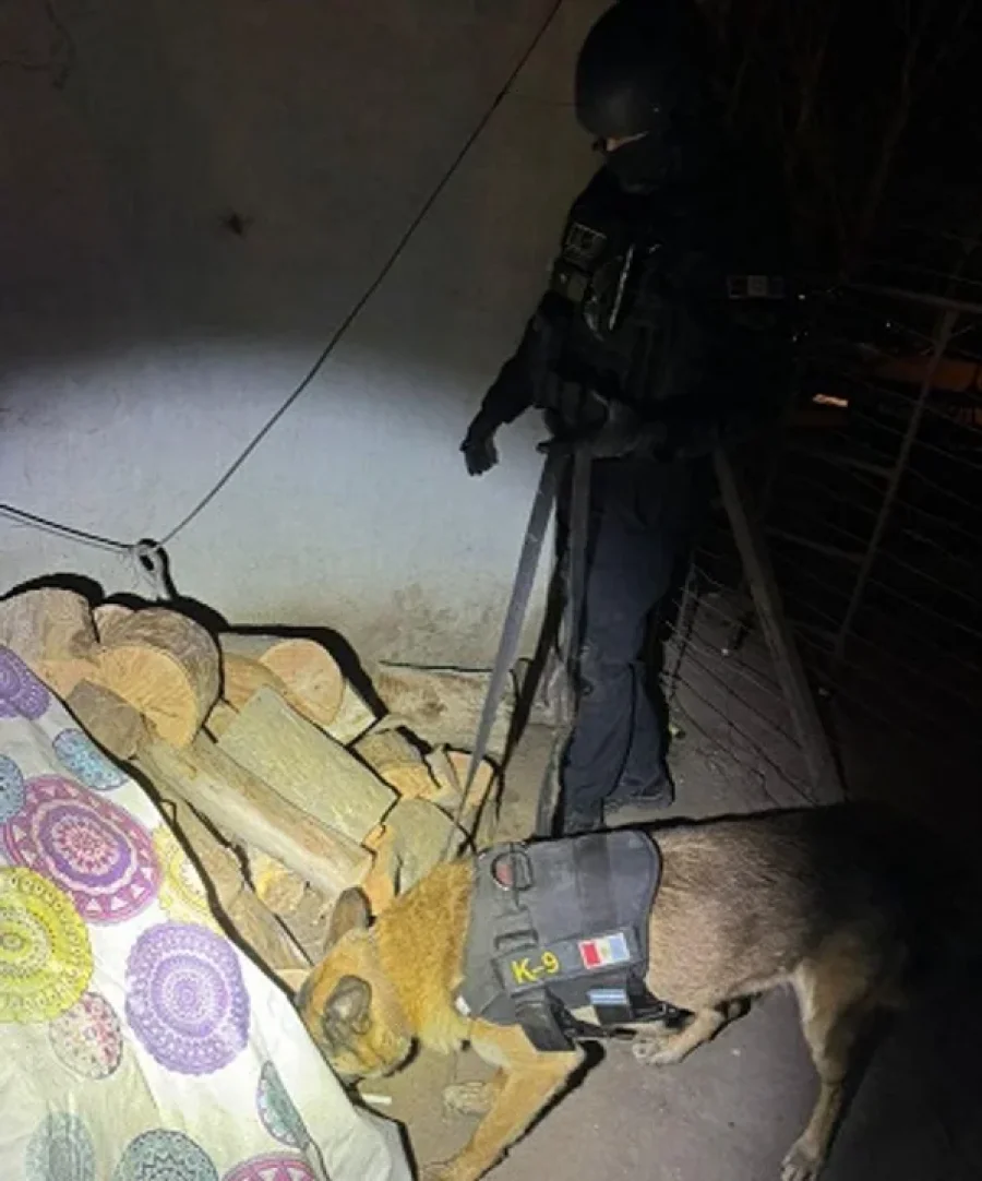 Los canes de la Polic&iacute;a de C&oacute;rdoba en pleno trabajo antin&aacute;rcotico.