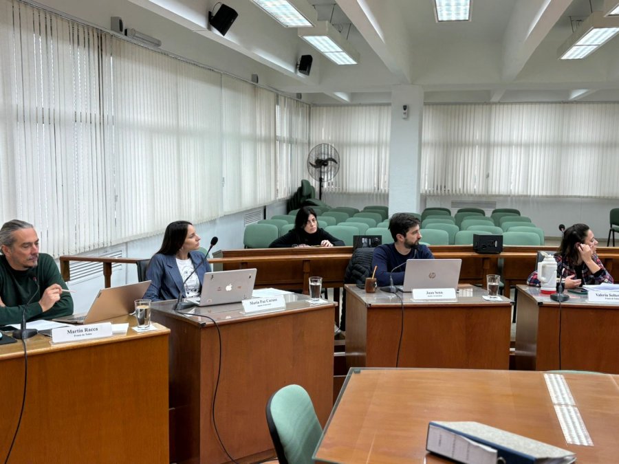 Mart&iacute;n Racca, Paz Caruso, Juan Senn y Valeria Soltermam durante la reuni&oacute;n de comisiones de este lunes.