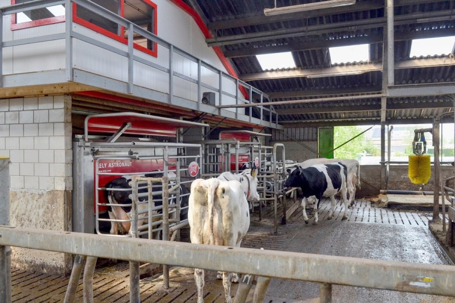 INVERSI&Oacute;N. La nueva fisonom&iacute;a que est&aacute;n tomando los tambos de la regi&oacute;n con los sistemas robotizados.