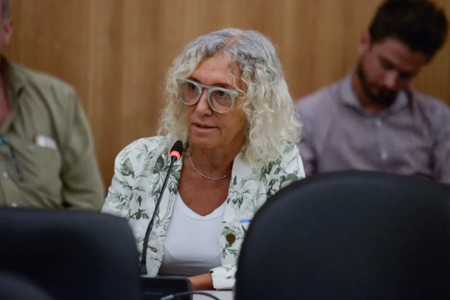 M&oacute;nica Frade (CC), presidenta de la comisi&oacute;n de Prevenci&oacute;n de Adicciones.