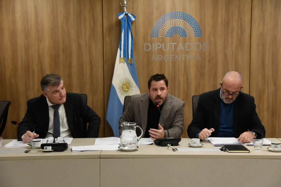 Mart&iacute;n Tetaz (UCR), presidente de la comisi&oacute;n de Legislaci&oacute;n del Trabajo.