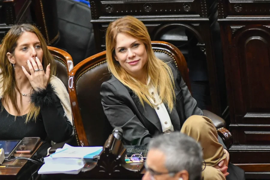 Lemoine volvi&oacute; a cargar contra Villarruel.