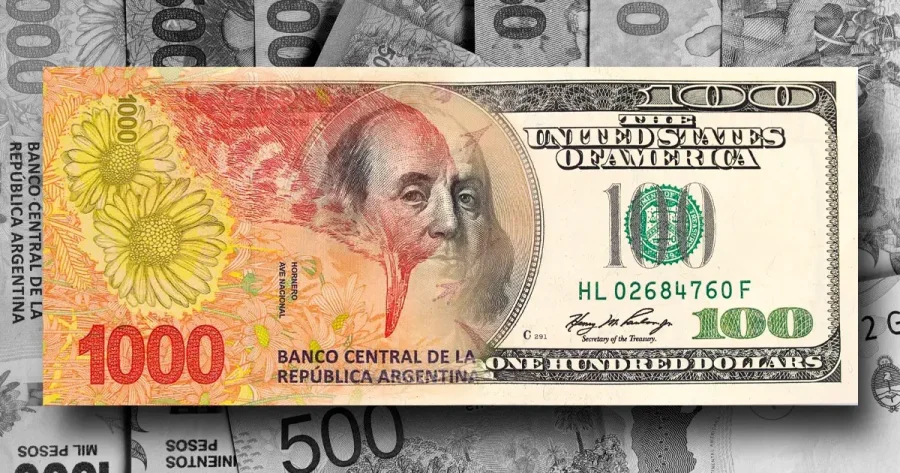 DILEMAS ARGENTINOS. Ser o no ser, devaluar o no devaluar, el pa&iacute;s bimonetario y sus indecisiones.