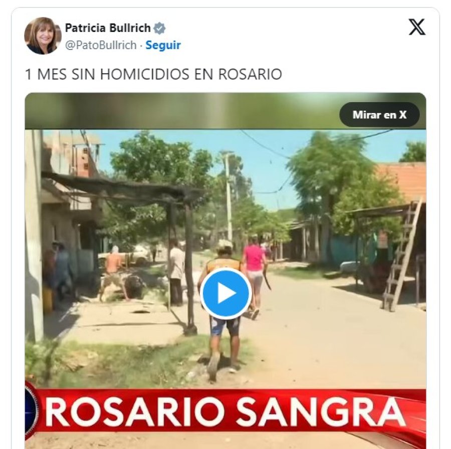La ministra de Seguridad de la Naci&oacute;n celebr&oacute; "la haza&ntilde;a"  en el marco del Plan Bandera, desde la cartera que conduce.