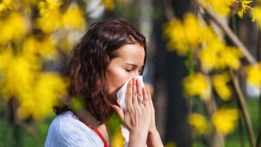 Las alergias se sufren m&aacute;s en la primavera.