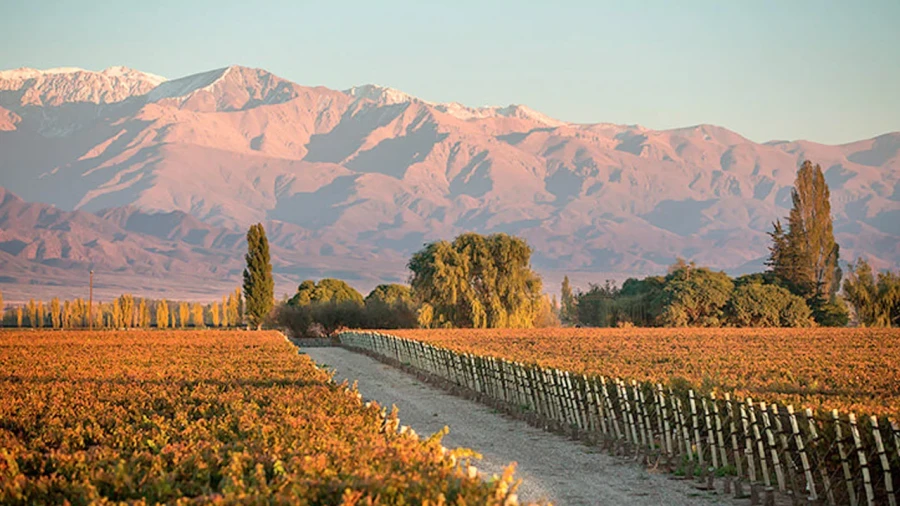 Mendoza, una provincia para descubrir y volver cada a&ntilde;o.