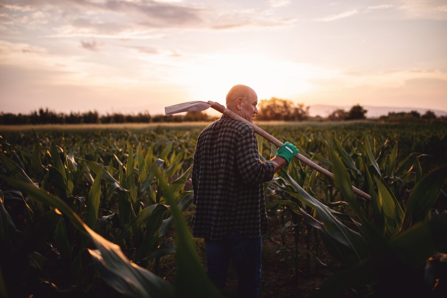 &nbsp;  Con esta campa&ntilde;a, Sancor Seguros reafirma su compromiso inquebrantable con el sector agropecuario.