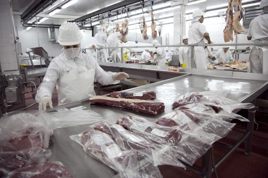 BAJO. En las primeras 12 semanas del ciclo comercial se certificaron cerca de 7.000 toneladas.