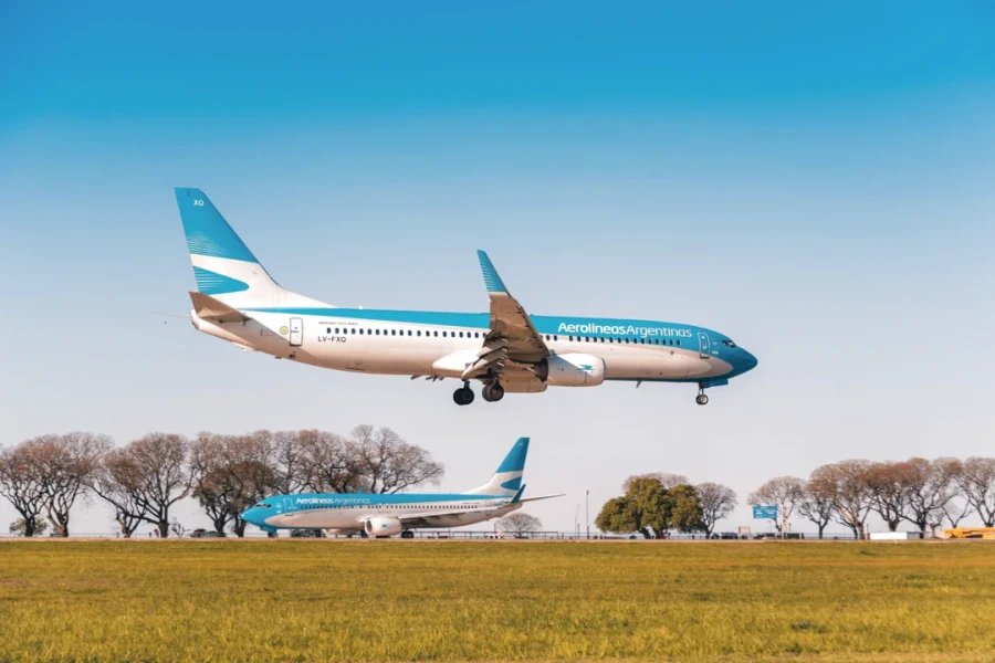 El Gobierno declar&oacute; sujeta a privatizaci&oacute;n a Aerol&iacute;neas Argentinas.