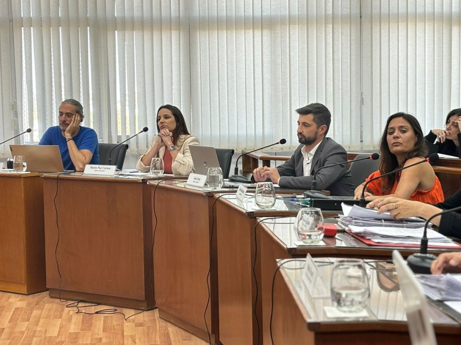 La oposici&oacute;n mantiene la presi&oacute;n alta sobre la gesti&oacute;n de Leo Viotti. (PRENSA CONCEJO)