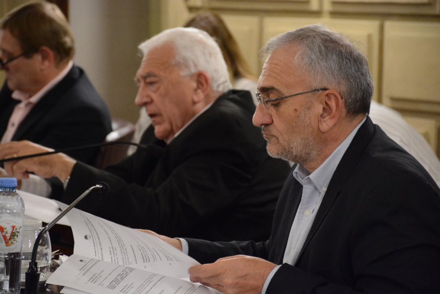 Alcides Calvo en una sesi&oacute;n de la C&aacute;mara alta.