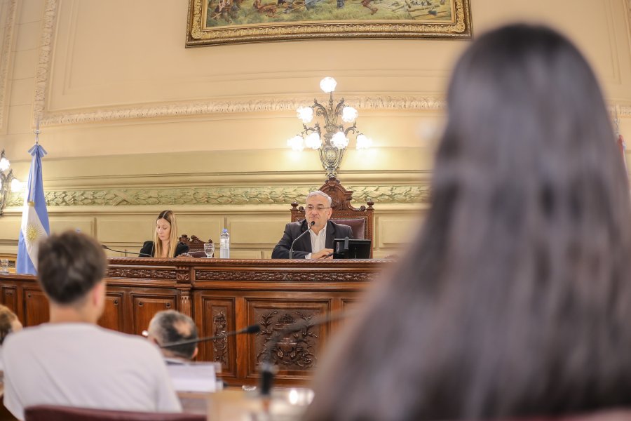 Alcides Calvo presidiendo una sesi&oacute;n simulada.