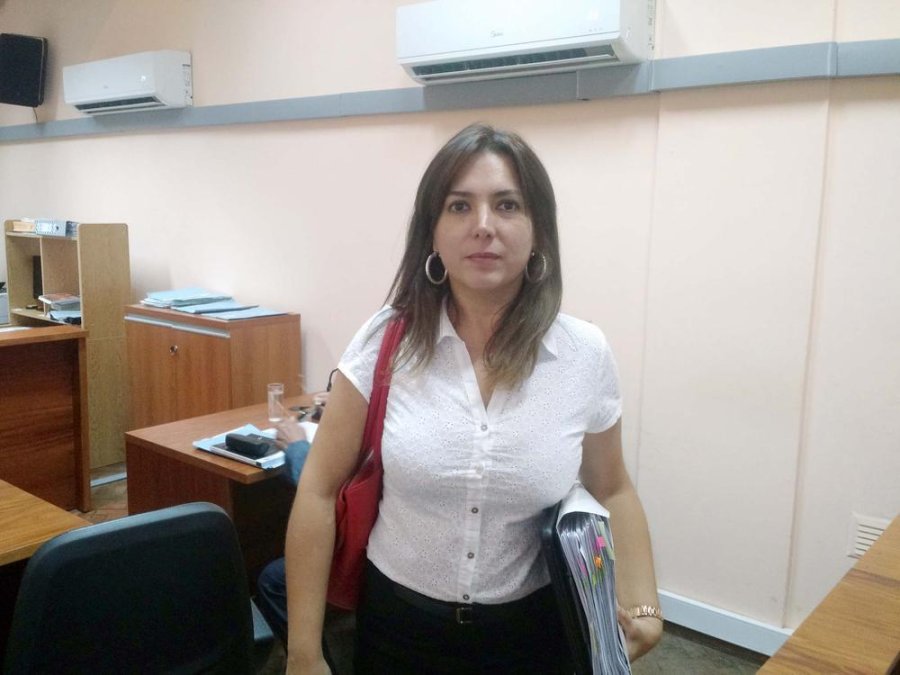 La fiscal de la Secci&oacute;n de Violencia de G&eacute;nero, Familiar y Sexual (Gefas), Gabriela Lema, represent&oacute; al MPA local en el debate.