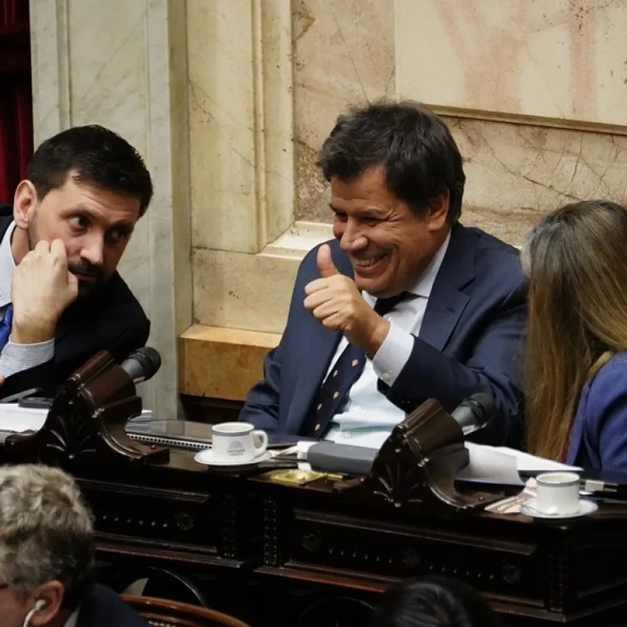 Pablo Juliano y Facundo Manes.