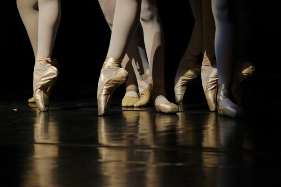 La danza fue el &uacute;nico arte moderno que no fue prohibido por Adolfo Hitler, durante la Segunda Guerra Mundial.