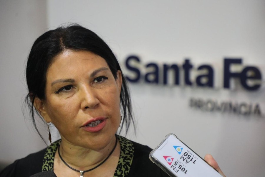 El Ministerio de Salud de la Provincia de Santa Fe inform&oacute; ayer el primer caso de dengue de la temporada.