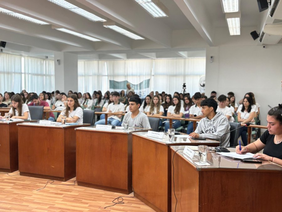 INTER&Eacute;S. Los estudiantes de escuelas secundarias aceptaron el desaf&iacute;o de participar en el Concejo Joven 2024.
