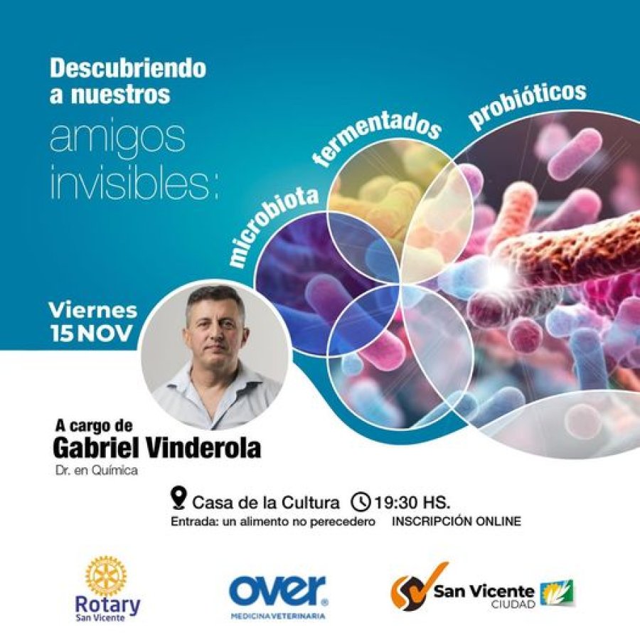 Promoci&oacute;n de la propuesta.