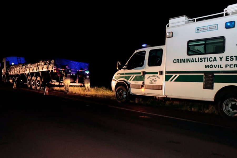 Al lograr detener su marcha, los gendarmes procedieron con su inspecci&oacute;n y el can Le&oacute;n, indic&oacute; presencia de estupefacientes.