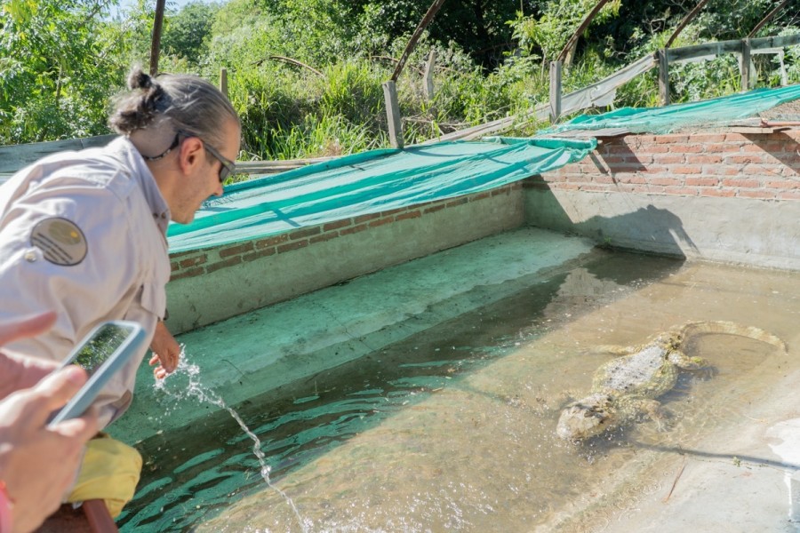 Se trata de monos caray&aacute;, urracas comunes, tortugas de agua, yacar&eacute;s aut&oacute;ctonos, loros habladores, calancates de cara roja y loros nenday.