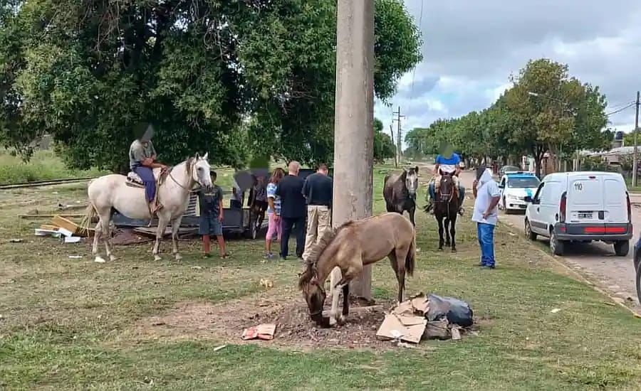 Los caballos sueltos son altamente peligrosos para el tr&aacute;nsito en la ciudad y se requiere responsabilldad de sus due&ntilde;os.