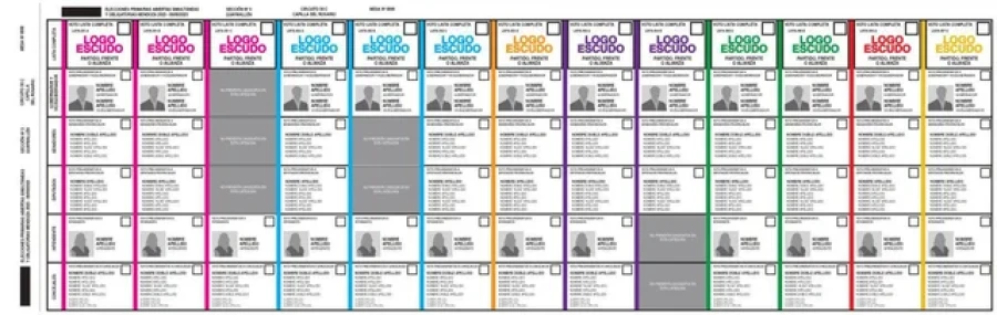 La Boleta &Uacute;nica Papel, seg&uacute;n difundi&oacute; el Gobierno.