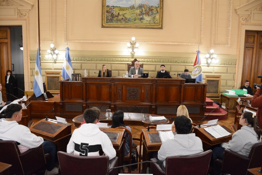 SESI&Oacute;N SIMULADA. Uno de los establecimientos en el Senado provincial.