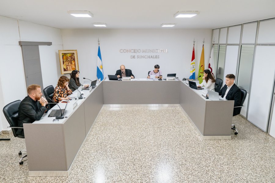los ediles en el recinto de sesiones.
