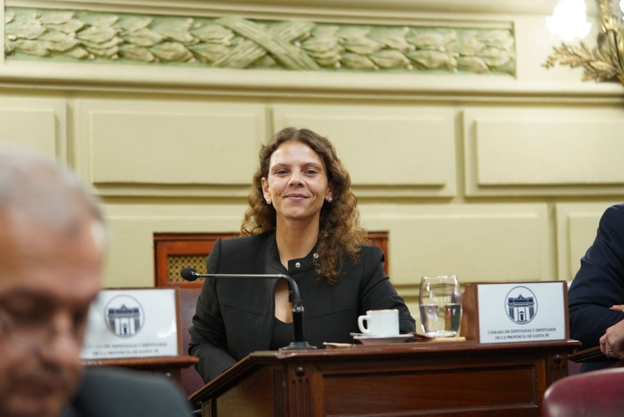 &ldquo;Es una alegr&iacute;a que Santa Fe tenga una Ley clave para promover ambientes de trabajo sanos y respetuosos", dijo Gisel Mahmud.