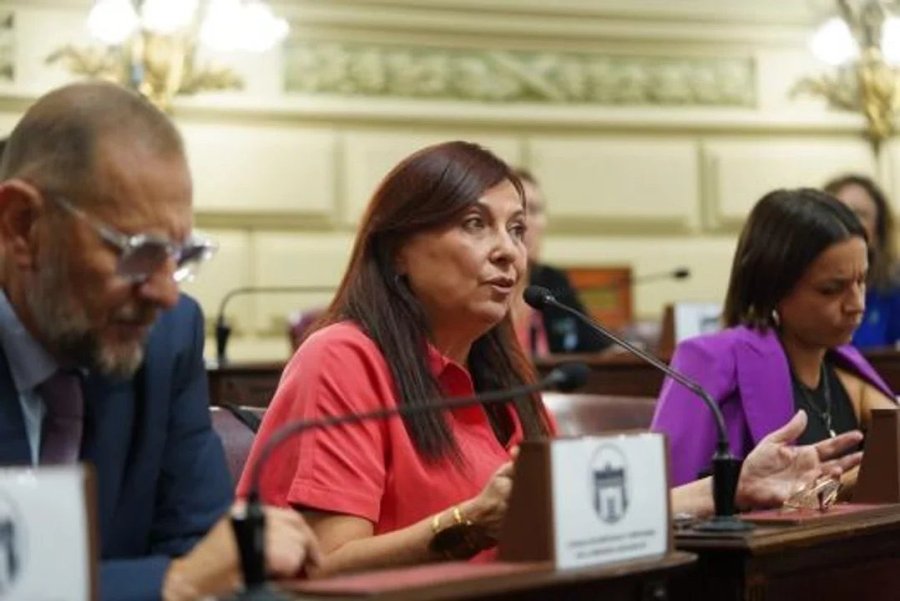 La diputada Celia Arena present&oacute; el jueves un proyecto propio que declara la necesidad de la reforma constitucional en Santa Fe.