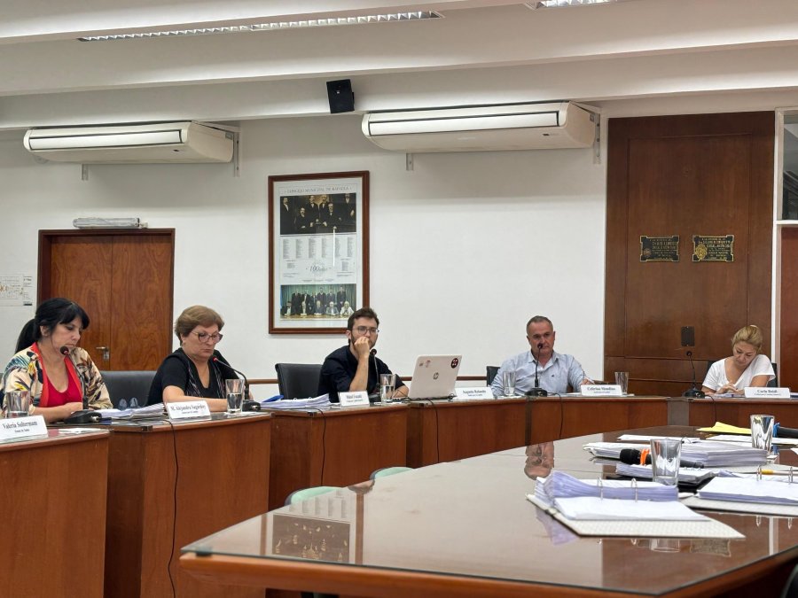 Desde el oficialismo, Mondino coincide con la oposici&oacute;n sobre la necesidad de que la representante del DEM en el Consejo de Administraci&oacute;n brinde mayor informaci&oacute;n. (PRENSA CONCEJO)