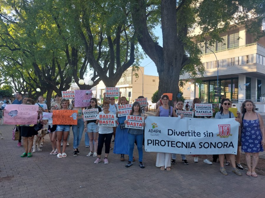 MANIFESTACION. Miembros de ADAPA se movilizaron en el centro de la ciudad pidiendo por el cumplimiento de la ordenanza 5081.