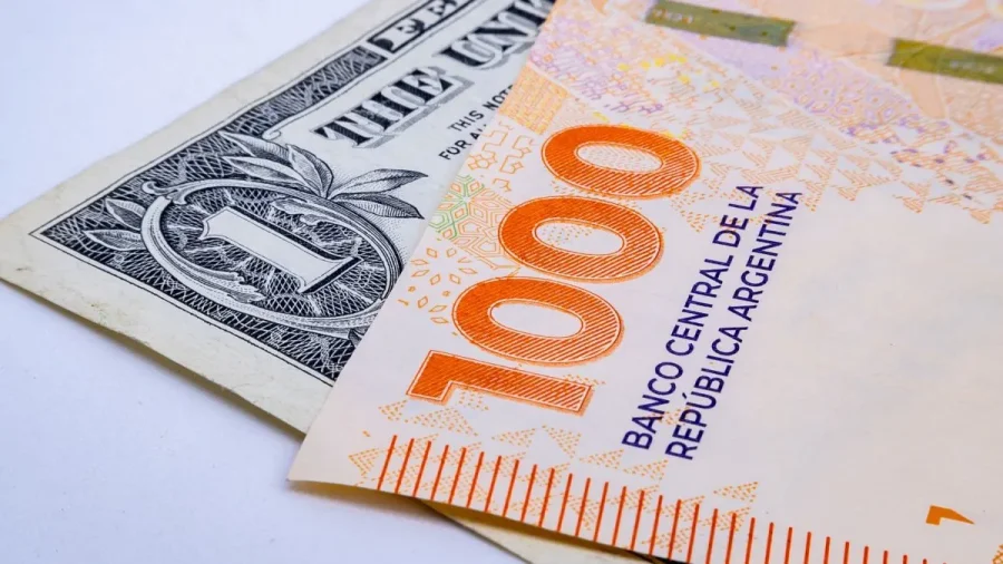 CONTRAPESO. El d&oacute;lar y el peso, una relaci&oacute;n inestable en la Argentina de las crisis recurrentes.