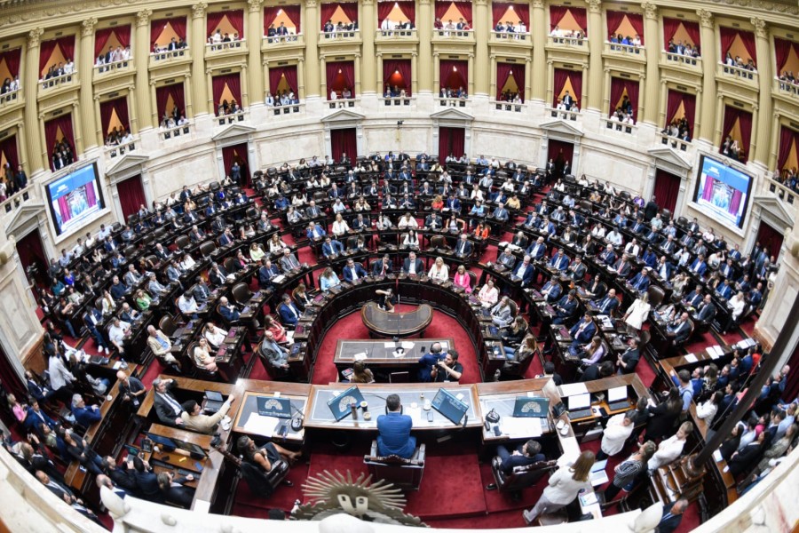 La C&aacute;mara de Diputados se renovar&aacute; el pr&oacute;ximo a&ntilde;o.