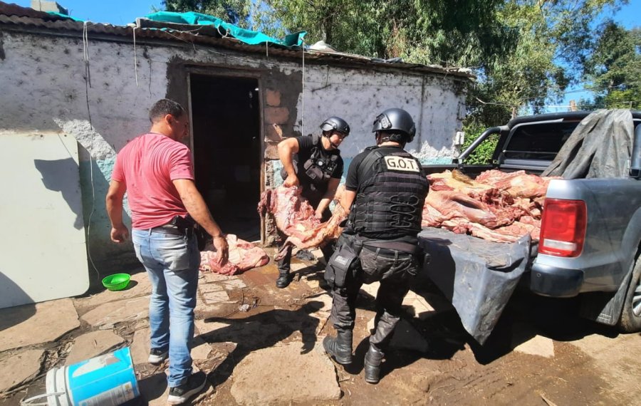 SECUESTRADO. En el b&uacute;nker se secuestraron 700 kg de carne vacuna reci&eacute;n faenada.