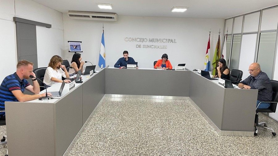 Los ediles durante la sesi&oacute;n extraordinaria.