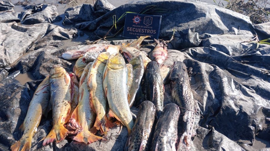 Identificaron a tres individuos por infracci&oacute;n a la Ley Provincial N&deg;12.212 (Ley de Pesca).
