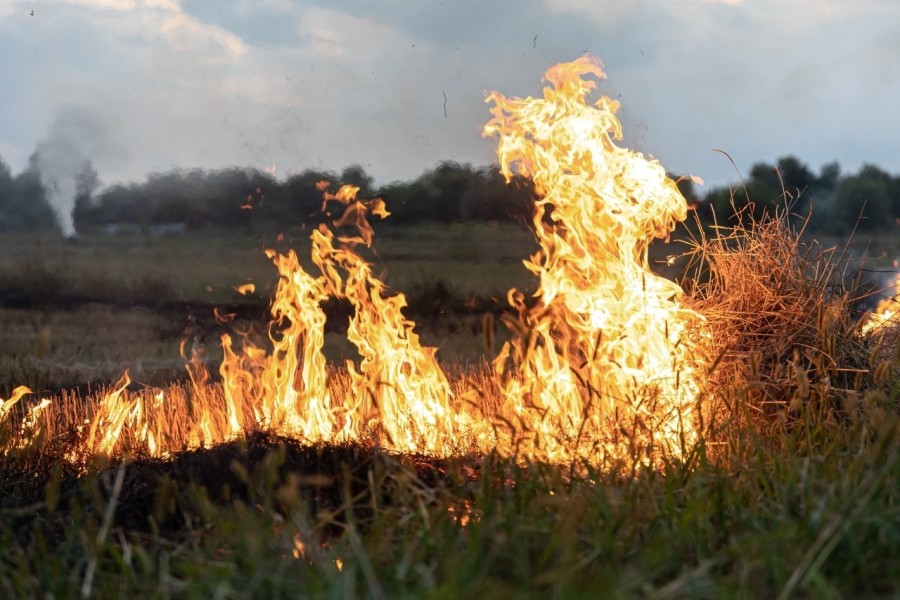 Recomendaciones para prevenir incendios.