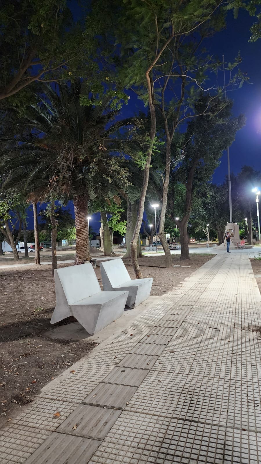 Fant&aacute;stica imagen del paseo p&uacute;blico remozado.