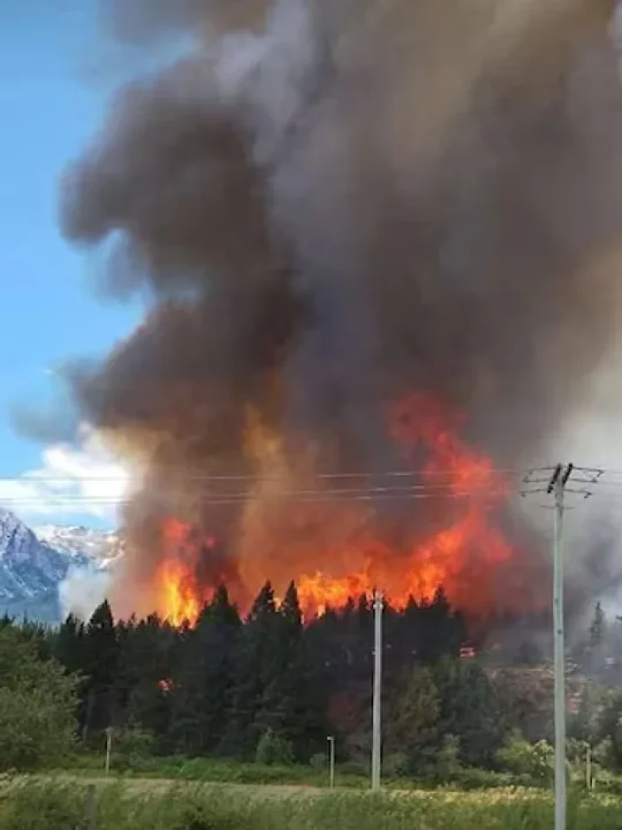 El subsecretario de Protecci&oacute;n Civil de Chubut dijo que el incendio est&aacute; muy activo.