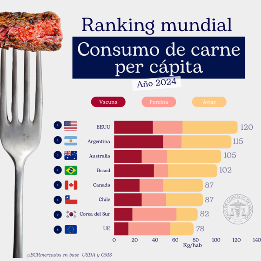 ESTIMACIONES. Argentina fue el segundo pa&iacute;s con mayor consumo promedio de carnes por habitante en 2024.