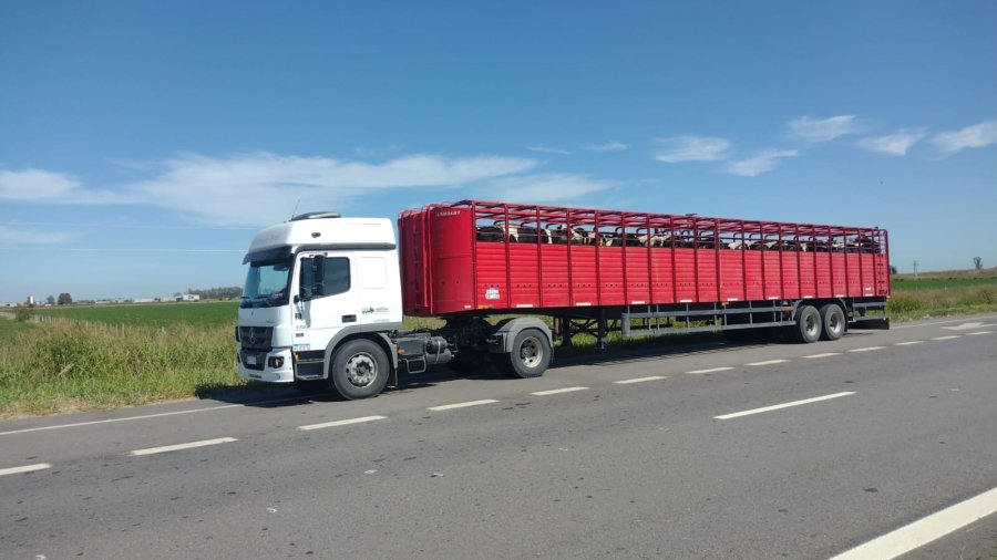 INVERSI&Oacute;N. La firma ramonense destinar&aacute; los fondos a ampliar su flota para log&iacute;stica.