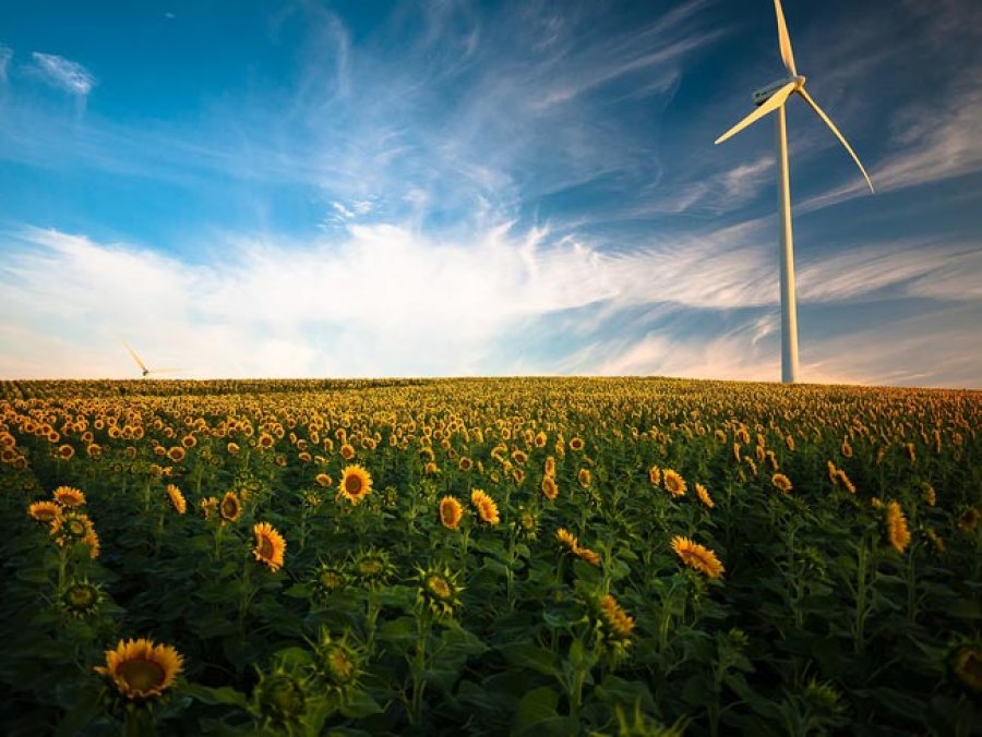 Energ&iacute;a e&oacute;lica: Producida por la fuerza del viento mediante turbinas e&oacute;licas que generan electricidad.