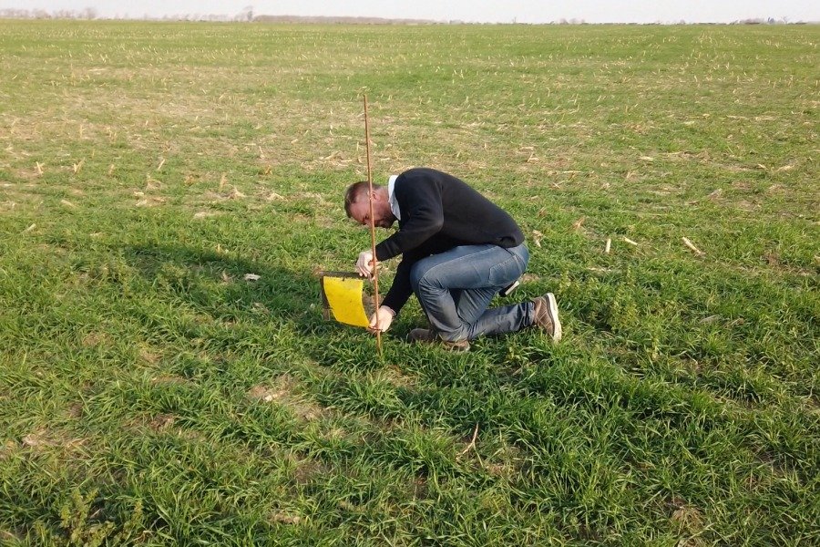 El Ingeniero Claudio Ortmann durante una de las actividades de control en los campos de la regi&oacute;n.